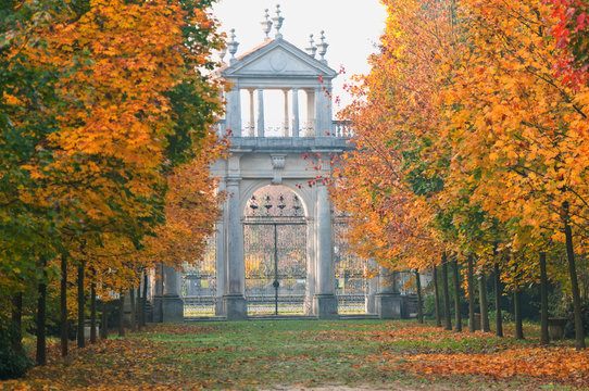 villa pisani particolare 303
