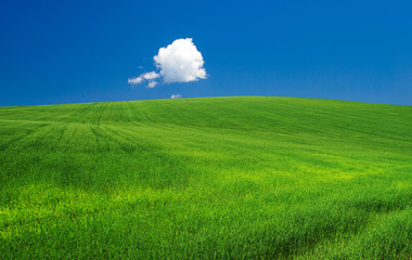 green field
