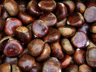 Obraz premium Chestnuts