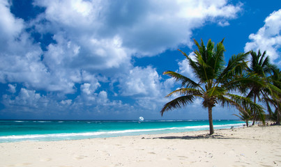 Obraz na płótnie Canvas Caribbean Beach