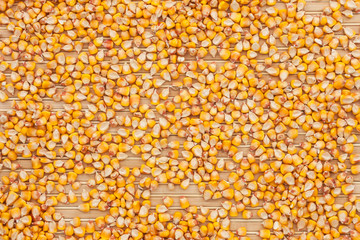 Background of corn  lying on a bamboo mat