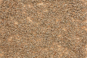 Background of rye  lying on a bamboo mat