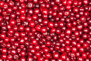 red cherry