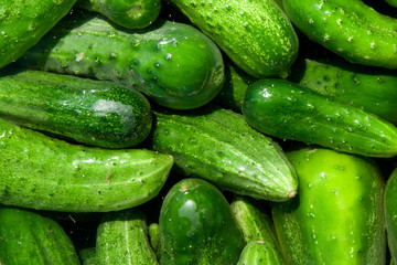 cucumbers