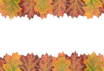 Fototapeta premium Autumn decoration frame made of leaves
