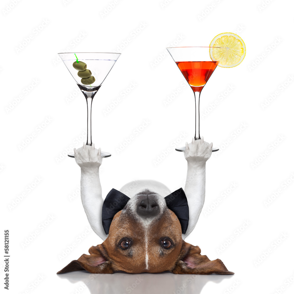 Poster cocktail dog