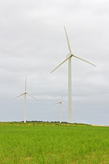 Wind turbines in a green field