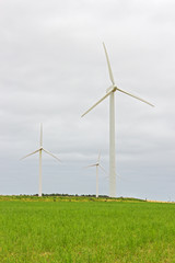 Fototapeta premium Wind turbines in a green field