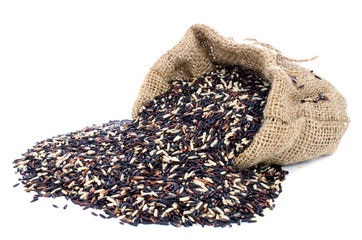 Black pile Rice in Gunny bag with white isolate background