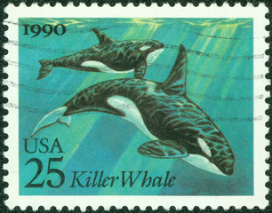 Stamp printed in USA shows the Killer Whales
