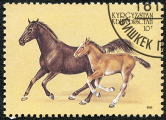 stamp printed in Kyrgyzstan showing horse with filly