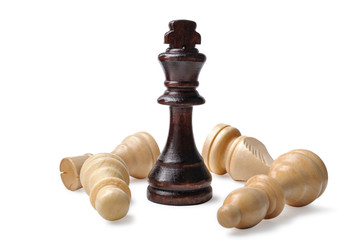 Different wooden chess pieces