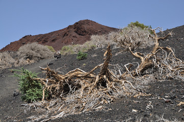 Montana de la Botija, Teneriffa