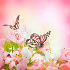 Beautiful flower and butterfly, blured and colored