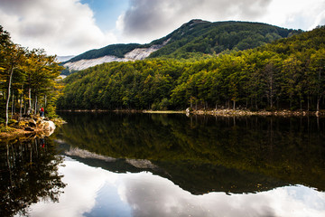 Autumnal landscape 3