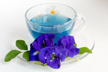 Obraz na płótnie Canvas Butterfly pea Tea on White Background