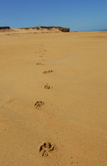 plage des Conches, l'Île d'Yeu