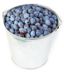 Plums isolated.
