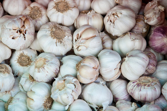 The group of garlic as background