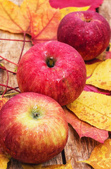Ripe,sweet apple autumn harvest and fallen leaves