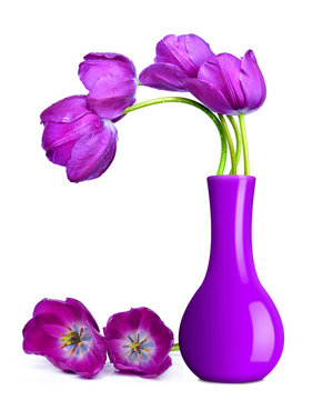 Purple Tulips In Vase