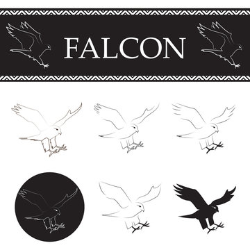 Falcon Flying Set - Isolated On White Background