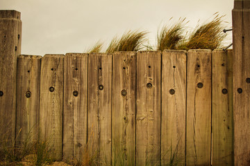 Fototapeta premium Fence and the beach