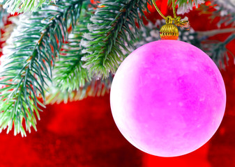Pink New Year's ball on a branch of a Christmas tree