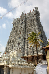 Suchindram temple. Kanniyakumari, Tamilnadu, Kerala, India
