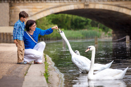 Young mother and son feeding swans at the lake