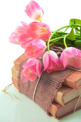 Pink tulips on old books