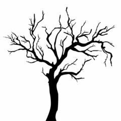 Fototapeta premium Tree silhouettes.