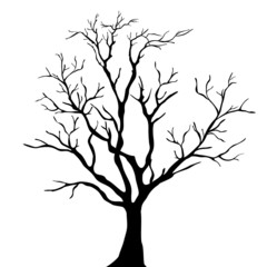 Tree silhouettes. Vector illustration. - 58150712