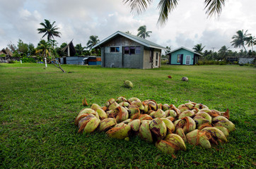 Coconut Tree in Aitutaki Lagoon Cook Islands © Rafael Ben-Ari