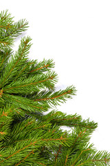 Christmas background. Eve framework