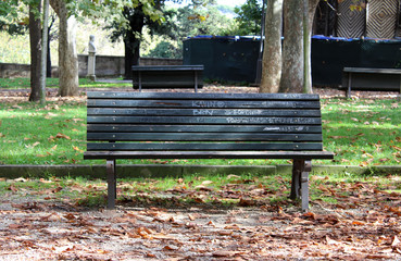 Empty Bench in Park