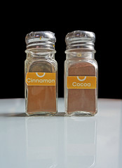 Cocoa and cinnamon powder bottle shaker