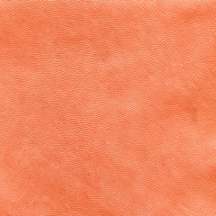 Fototapeta premium leather texture
