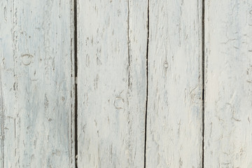 Close-up of white wooden plank texture