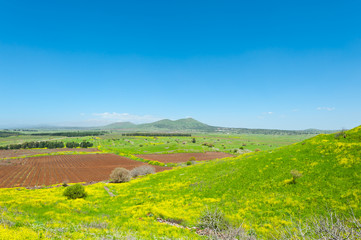 Golan Heights