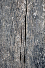 Fototapeta na wymiar background of saw cut of wood