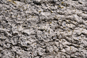 background of cement wall