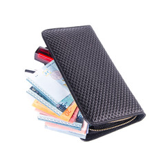 wallet. woman wallet with money on a background