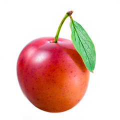 Plum. Fruit with leaf isolated on white