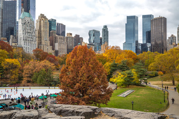 Autumn leaves foliage in New York City Central Park