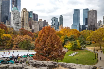 Zelfklevend Fotobehang Autumn leaves foliage in New York City Central Park © blvdone