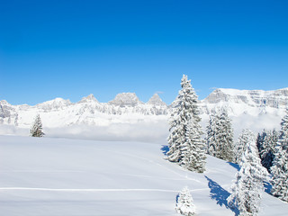 Fototapeta premium Skiing slope