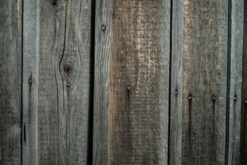 Wood texture