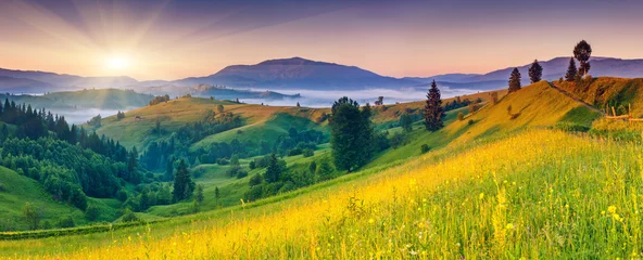 Foto op Plexiglas bergen landschap © Leonid Tit