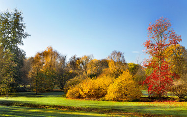 Fototapeta premium Park in Autumn.